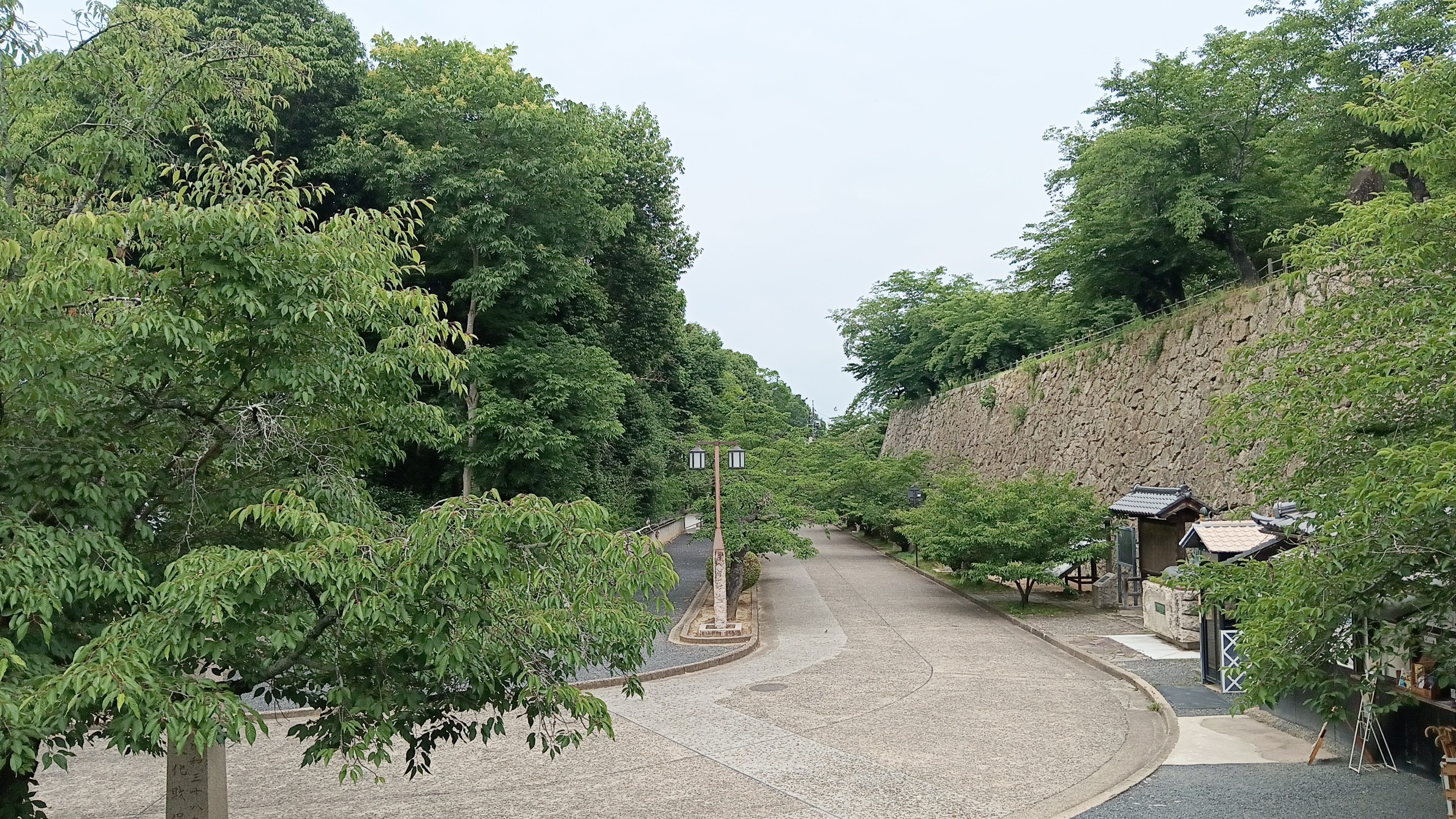 鶴山公園⑤