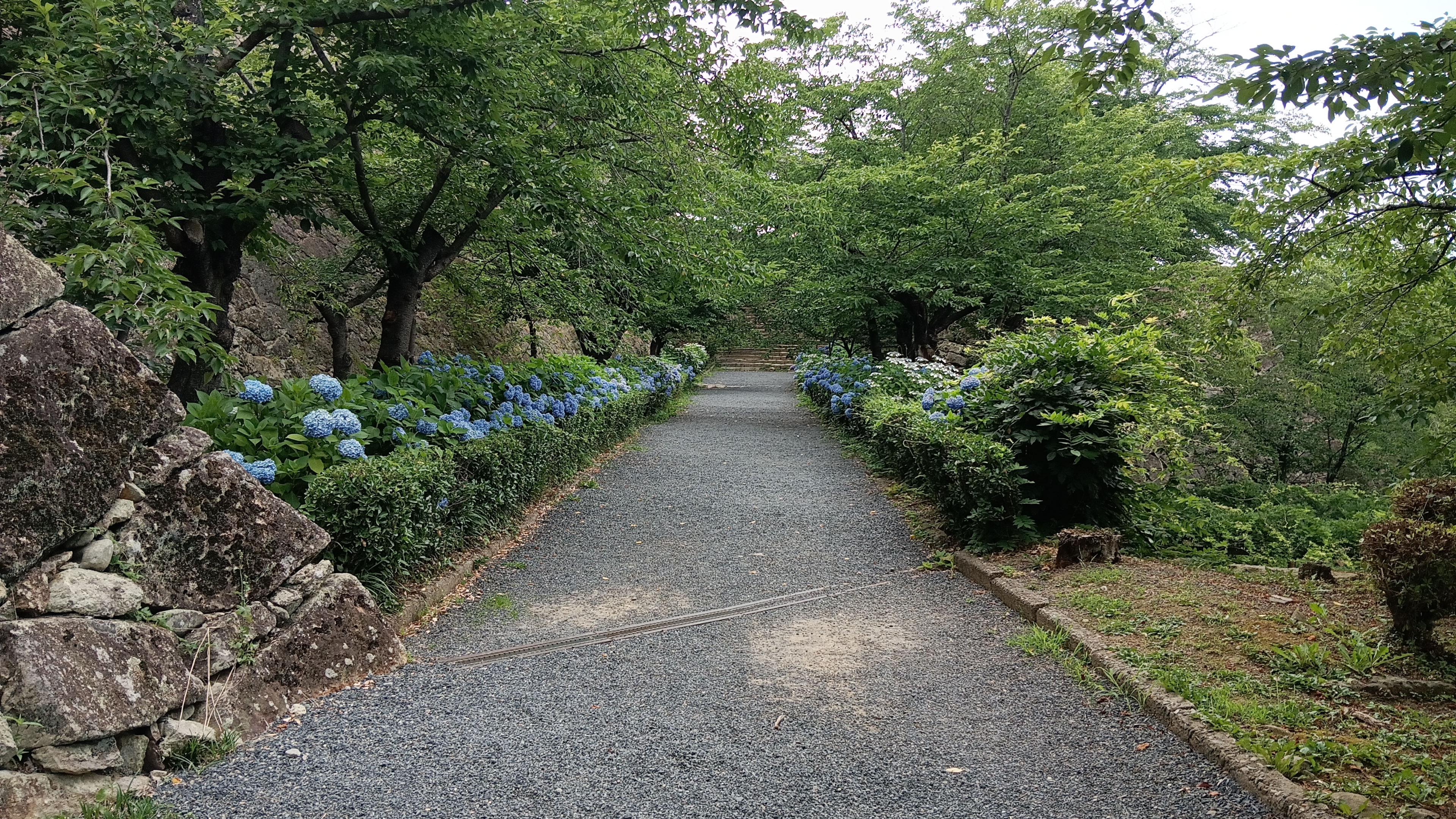 鶴山公園⑦