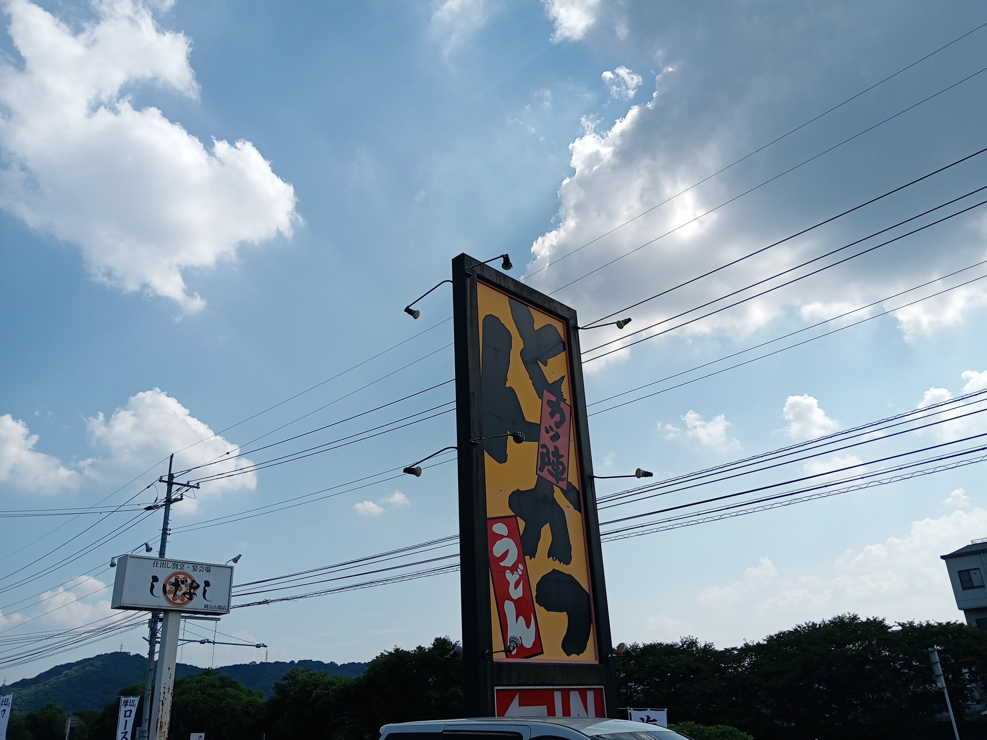 とんかつ②